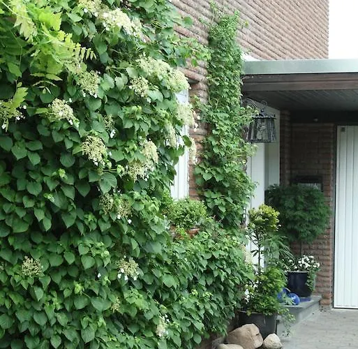 Apartament Illerhues